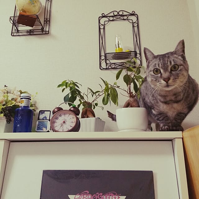 takeさんの実例写真