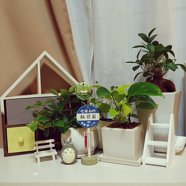 Rikokkumamaさんの実例写真
