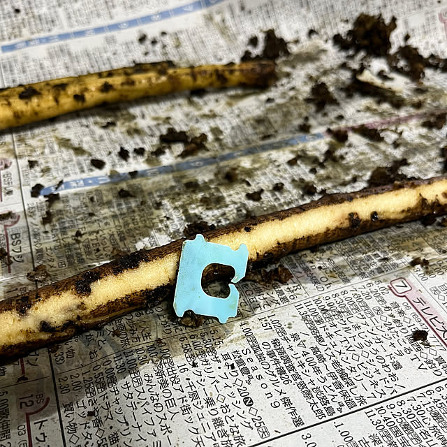 miyakoさんの実例写真