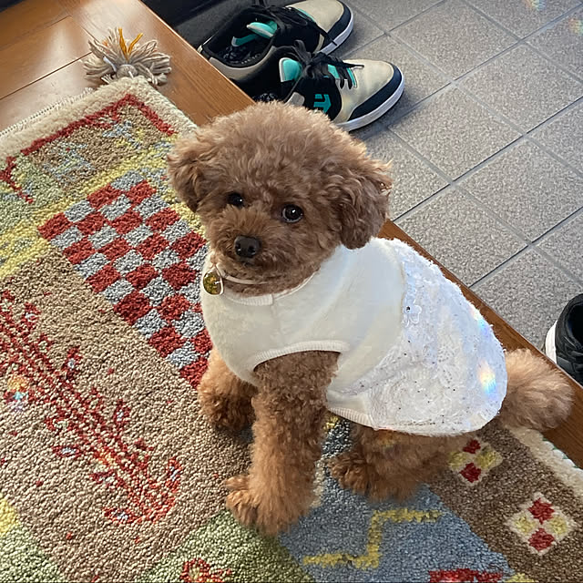 Yumiさんの実例写真