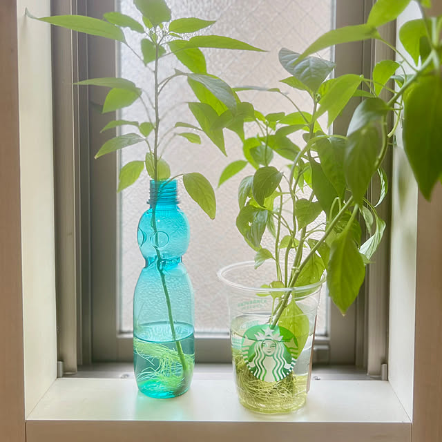 Ritsuさんの部屋