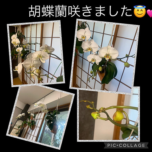 Aqettyさんの部屋
