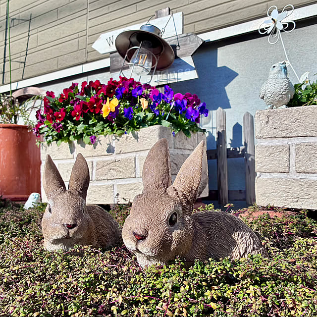 Junさんの実例写真