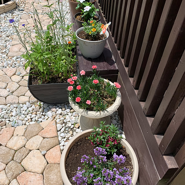 ROSEさんの実例写真