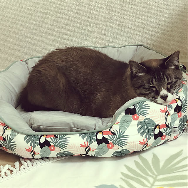 Liaさんの実例写真
