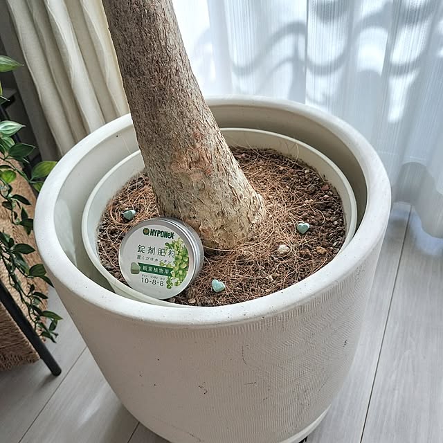 Riokkumaさんの部屋