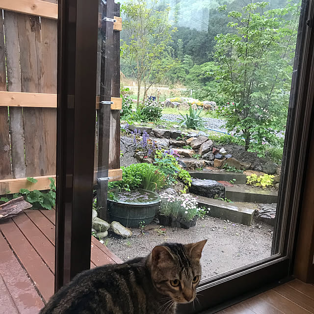 pepeさんの実例写真