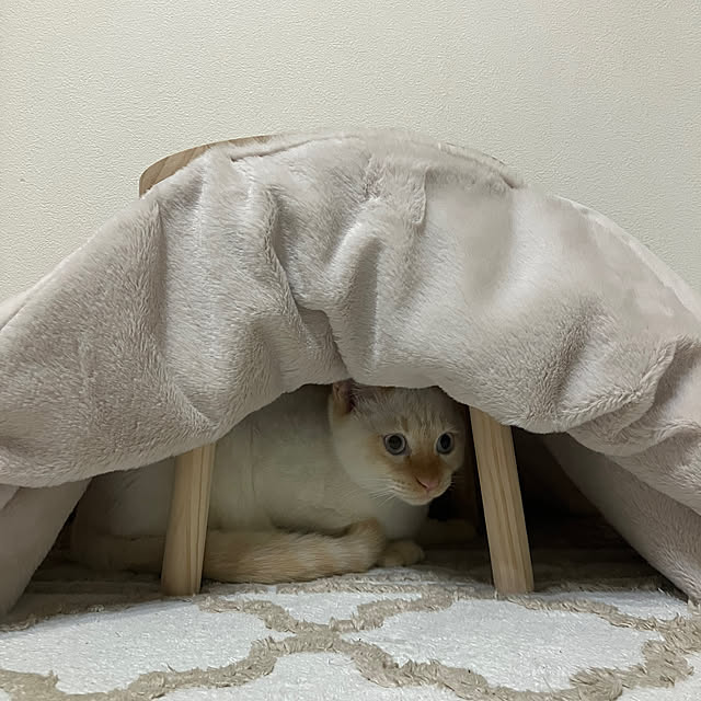 YUKIFUKUさんの部屋