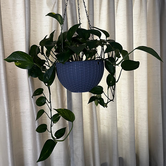 mska1114さんの実例写真