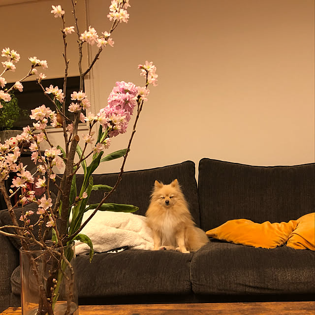 t.k.mさんの実例写真
