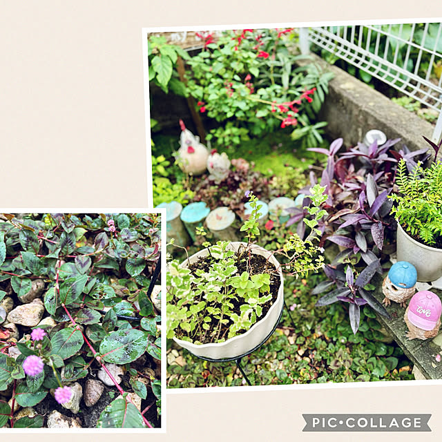 CoCo0617さんの部屋