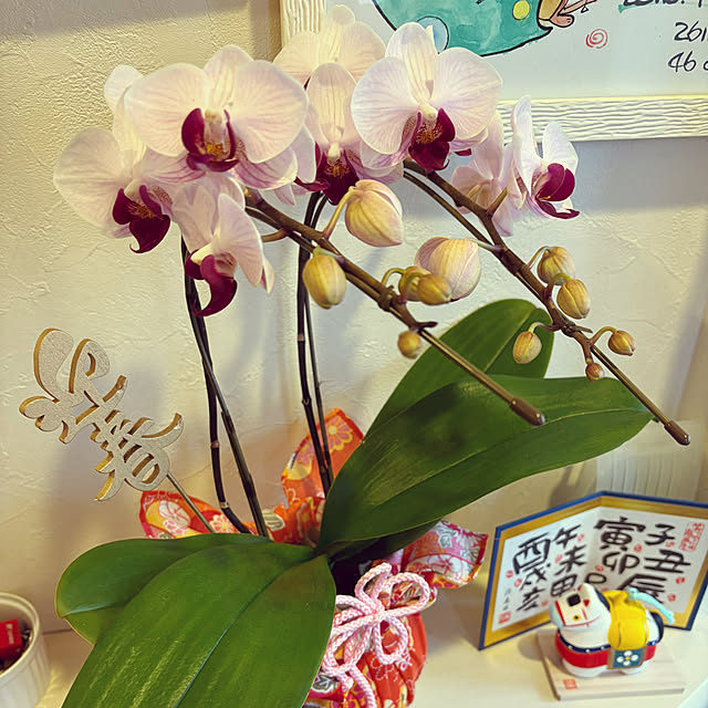 yuukiさんの部屋