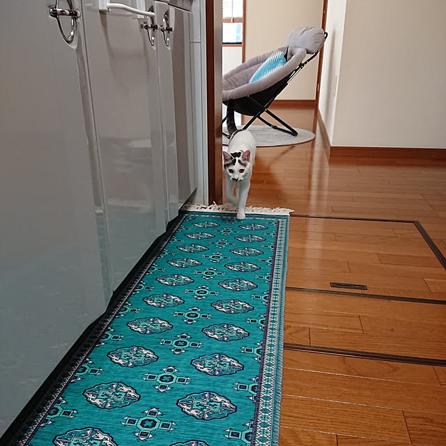 kumiさんの実例写真