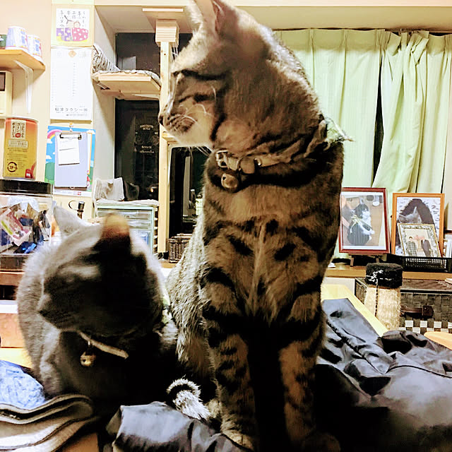 kmakkyiさんの実例写真