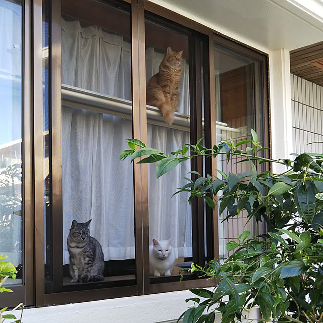 gabさんの実例写真