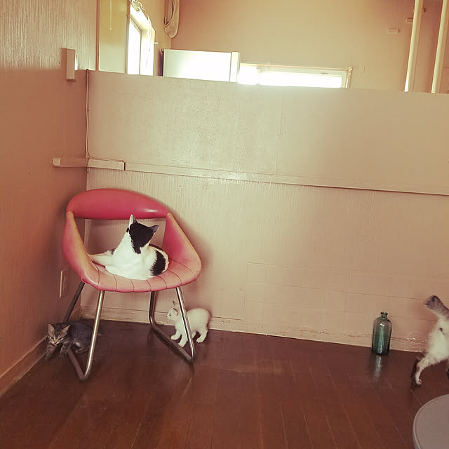 yukitadaさんの実例写真