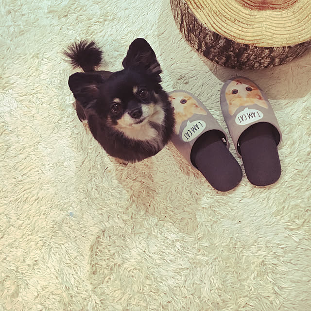 cocoさんの実例写真