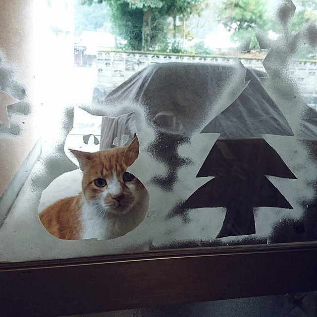 uchizukonyanさんの実例写真