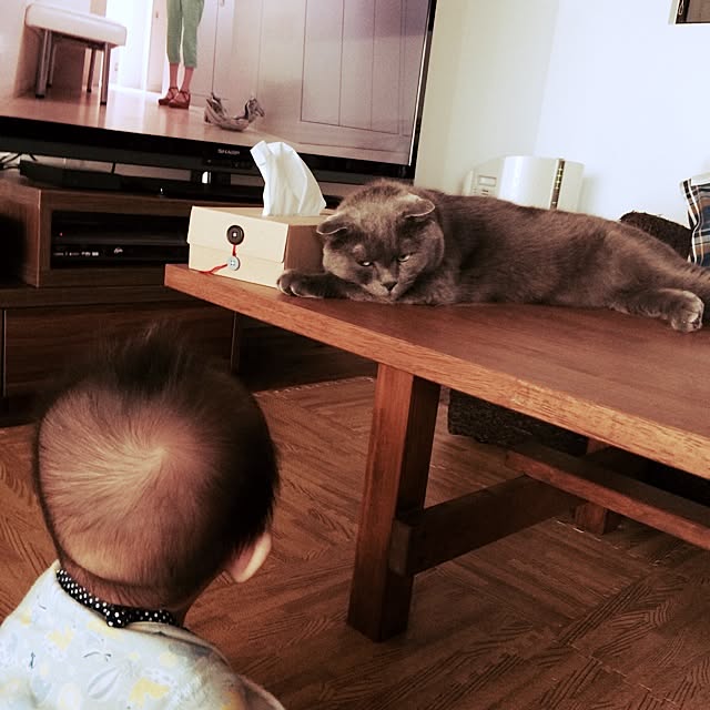 torinokoさんの実例写真