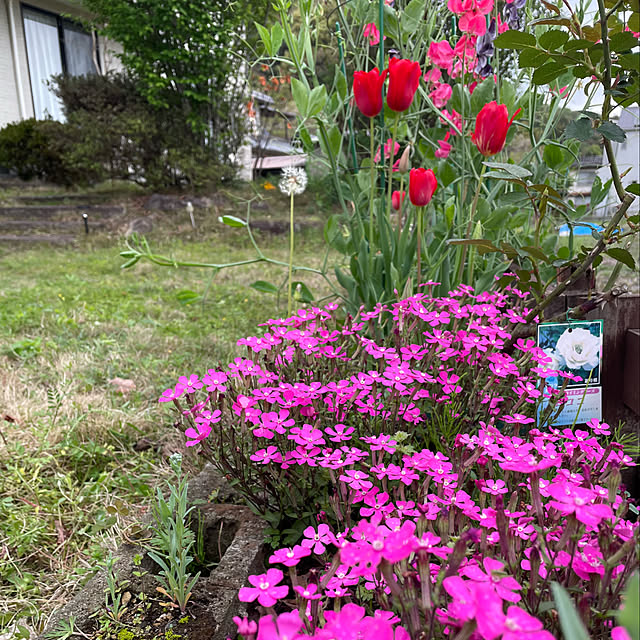 natsumiさんの部屋