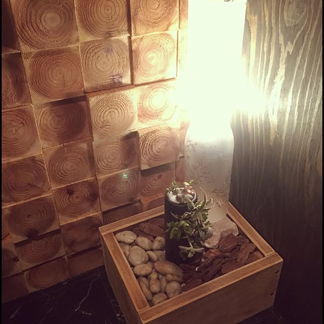 llx4500さんの実例写真