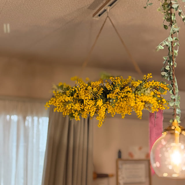 P-conutsさんの部屋