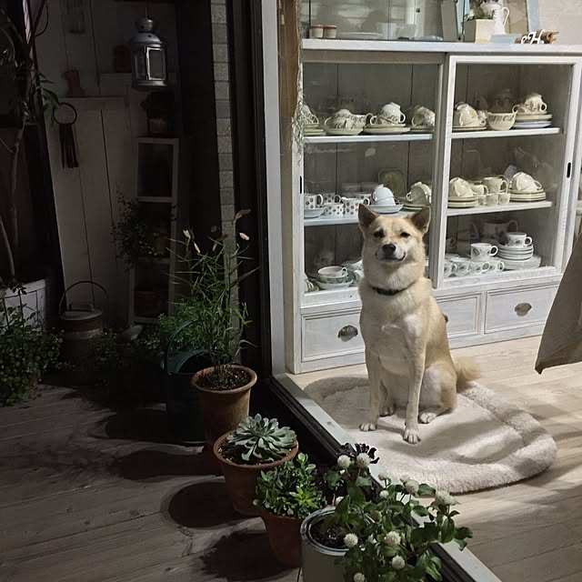 leonaさんの実例写真