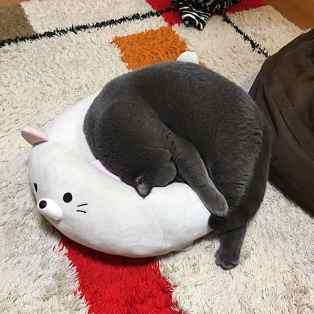 Shojiさんの実例写真