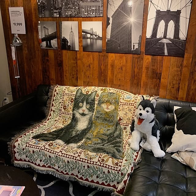 wilson_kehさんの実例写真