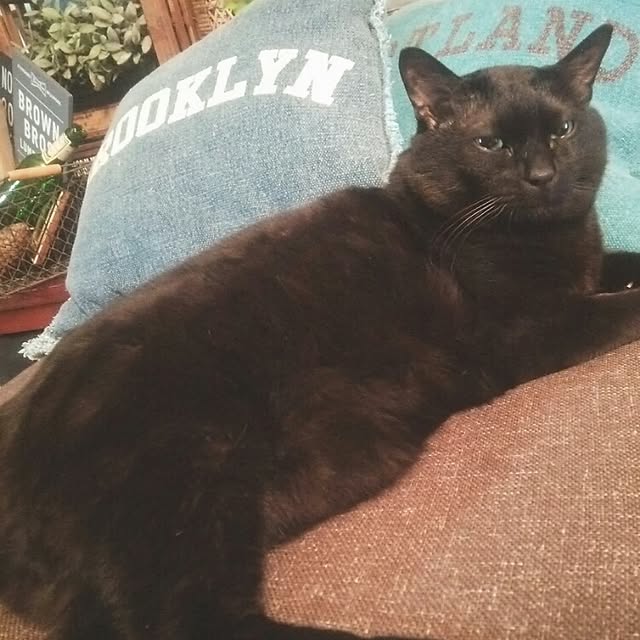 ugさんの実例写真