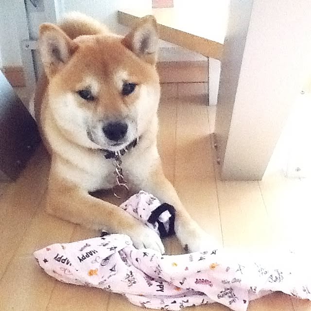 kotaさんの実例写真