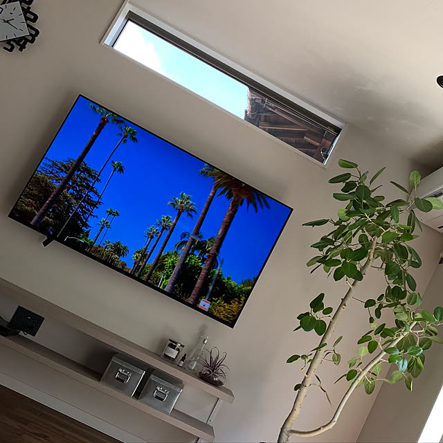 観葉植物/ニトリ/無印良品/照明/リビングのインテリア実例 - 2019-08-16 13:48:50