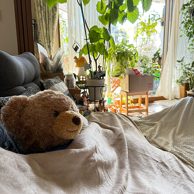 Aqettyさんの部屋