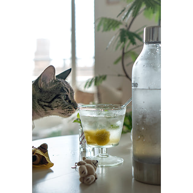 oliveさんの部屋
