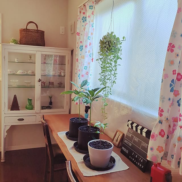 mamezoさんの実例写真