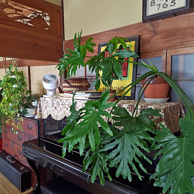 nacoさんの実例写真