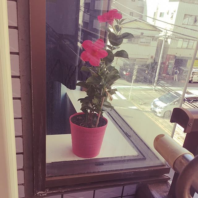 Makoさんの実例写真