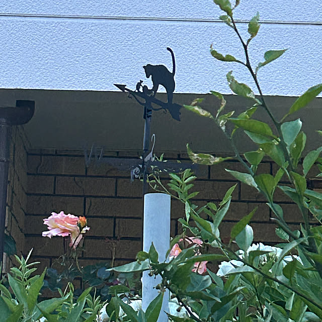 botanさんの部屋