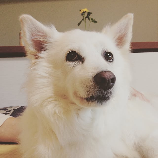 ALPSさんの実例写真