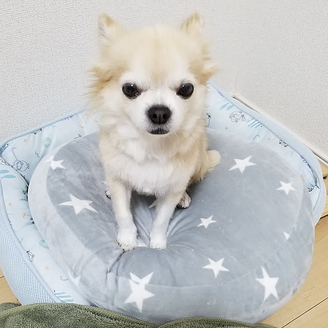 sasukeさんの実例写真