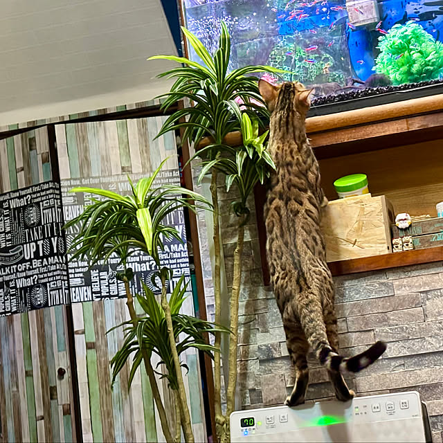 tututu0204さんの部屋