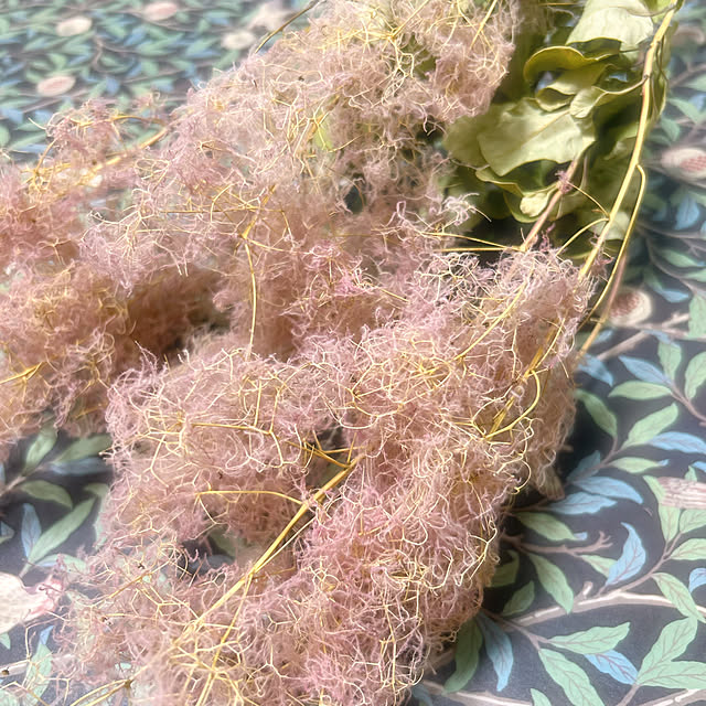 kさんの実例写真