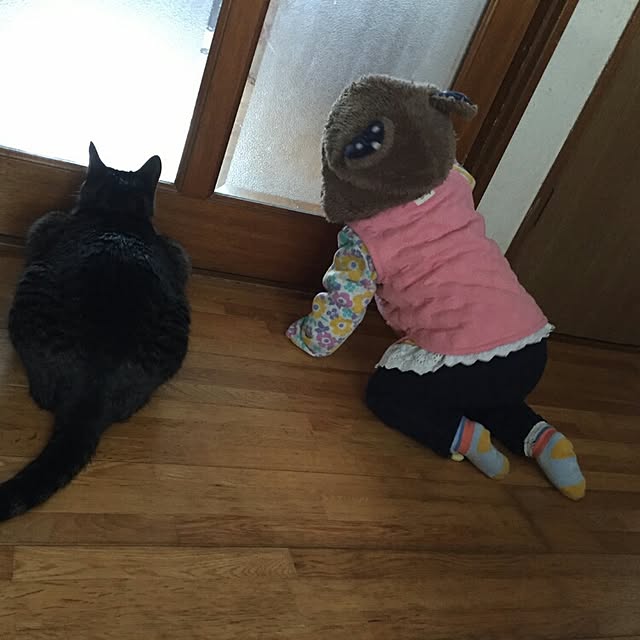 maorinさんの実例写真
