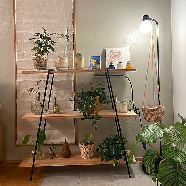 taro.さんの部屋