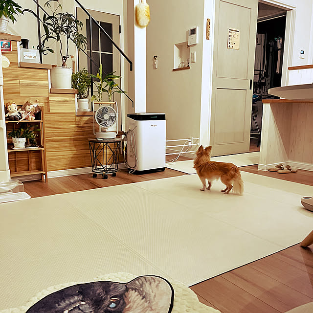 popoさんの実例写真