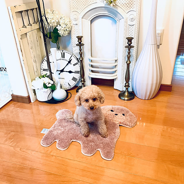 Momoさんの実例写真