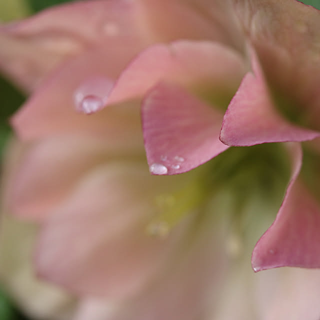 tomoさんの実例写真