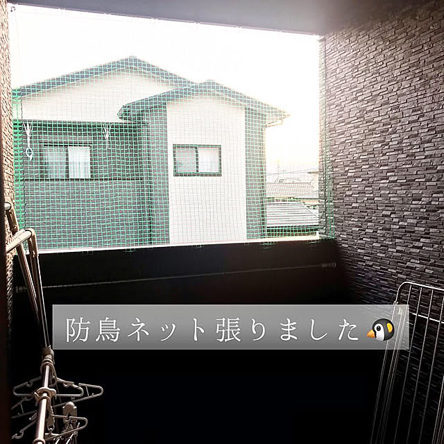 Michiyoさんの実例写真