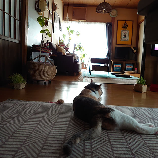 fukuさんの実例写真