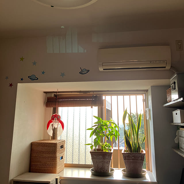 koshiregutyoさんの部屋